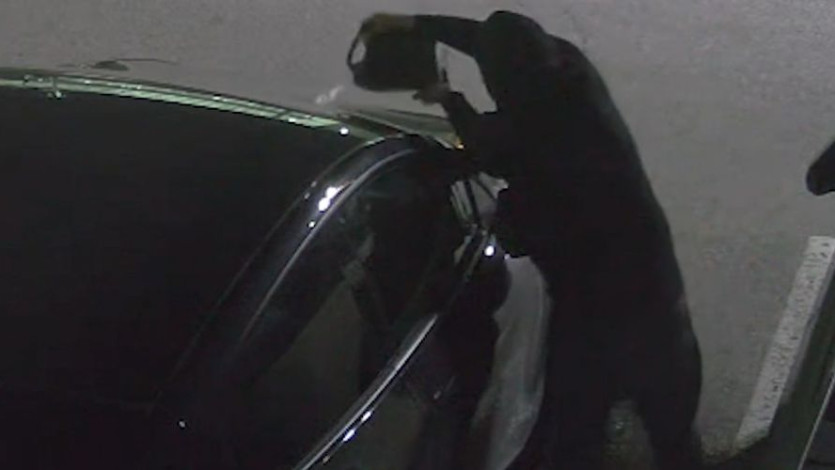 [Unsplash @Justin Hu]