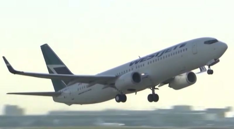 [Youtube @CTV News 캡처]