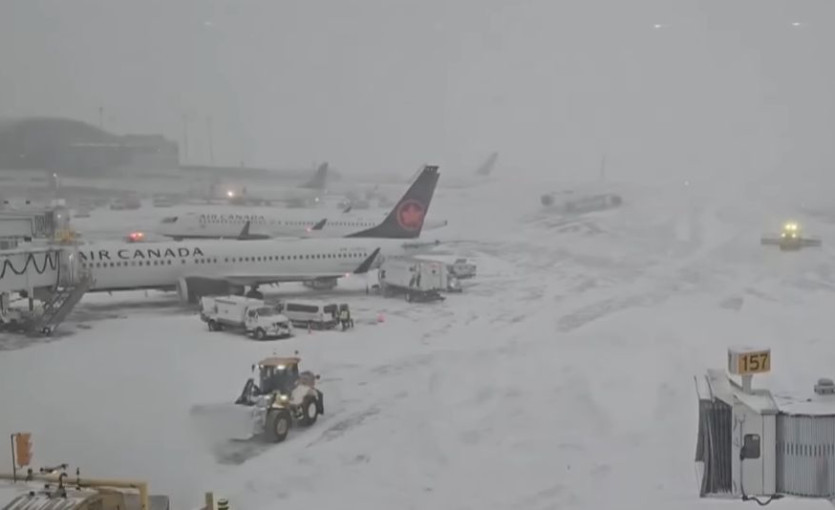 [Youtube @Global News 캡쳐]