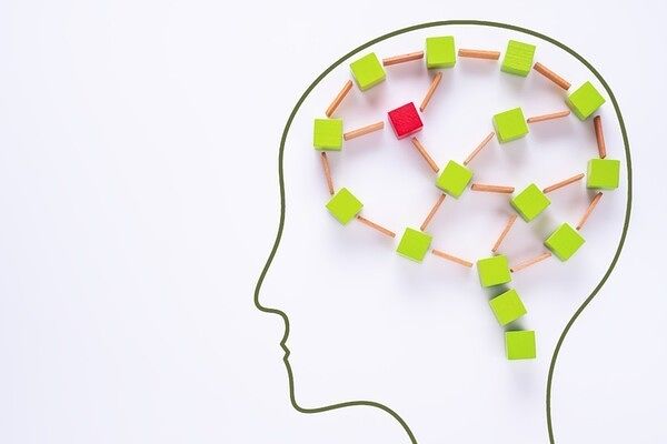 [출처:중앙일보]