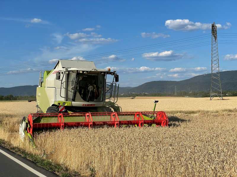 [Unsplash @Bernd Dittrich]