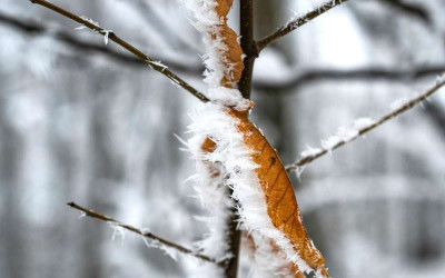 [날씨] 토론토 ‘기습 돌풍’ 주의보
