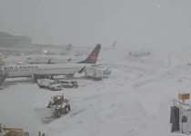 [Youtube @Global News 캡쳐]