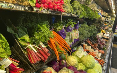 새 식료품 지원책 