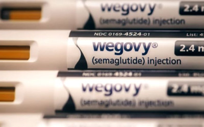 노보 노디스크의 승부수… ‘저가형 오젬픽’으로 제네릭 공세 막아선다